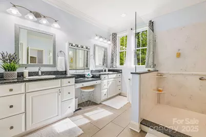 14 Larue Court, Biltmore Lake, NC 28715 - Photo 19