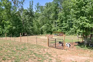 720 Cricket Ln, Mount Ulla, NC 28125 - Photo 39