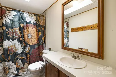 15 Robin Lane, Asheville, NC 28806 - Photo 25