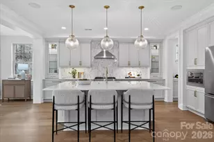 6274 Chimney Bluff Rd, Lancaster, SC 29720 - Photo 9