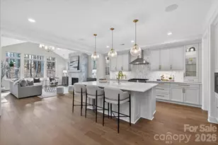 6274 Chimney Bluff Rd, Lancaster, SC 29720 - Photo 7