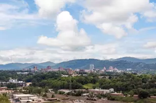 20 Grandview Dr, Asheville, NC 28806 - Photo 33