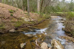 343 Racquet Club Rd, Asheville, NC 28803 - Photo 43