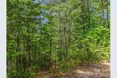 4 Woodward Drive, Mill Spring, NC 28756 - Photo 3