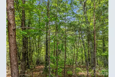 4 Woodward Drive, Mill Spring, NC 28756 - Photo 1