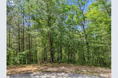 4 Woodward Drive, Mill Spring, NC 28756 - Photo 33