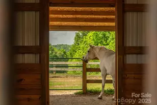 2921 N Pacolet Road N, Landrum, SC 29356 - Photo 21