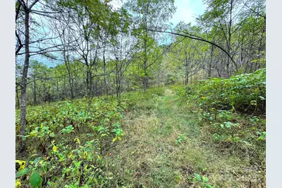 4136 Rose Creek Road, Franklin, NC 28734 - Photo 35