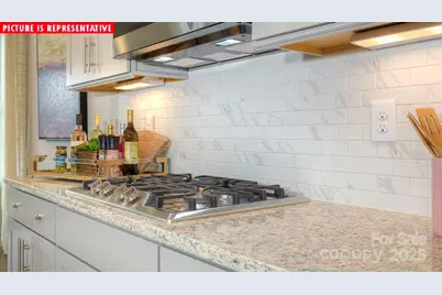 146 Ventnor Way, Mooresville, NC 28115 - Photo 13