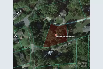 99999 Bachelder Lane, Candler, NC 28715 - Photo 5