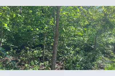 99999 Bachelder Lane, Candler, NC 28715 - Photo 3