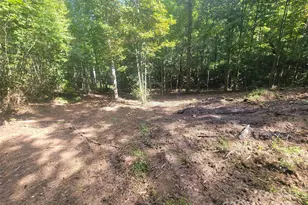 00 Bradford Park, Clyde, NC 28721 - Photo 1