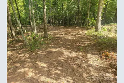 00 Bradford Park #10, Clyde, NC 28721 - Photo 5