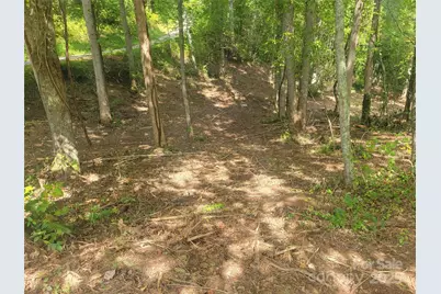 00 Bradford Park #10, Clyde, NC 28721 - Photo 7