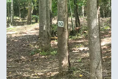 00 Bradford Park #10, Clyde, NC 28721 - Photo 17