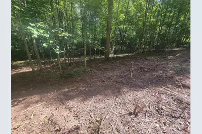 00 Bradford Park #10, Clyde, NC 28721 - Photo 11