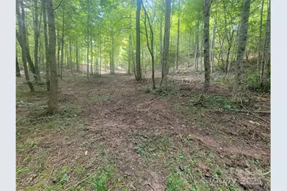 00 Bradford Park #10, Clyde, NC 28721 - Photo 13