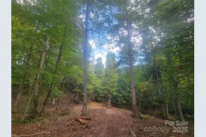 00 Bradford Park #10, Clyde, NC 28721 - Photo 9