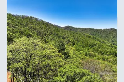 99999 Anderson Cove Road, Barnardsville, NC 28709 - Photo 7