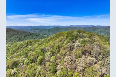 99999 Anderson Cove Road, Barnardsville, NC 28709 - Photo 3