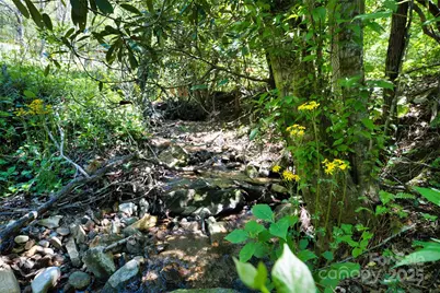 99999 Anderson Cove Road, Barnardsville, NC 28709 - Photo 13