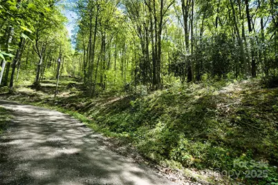 99999 Anderson Cove Road, Barnardsville, NC 28709 - Photo 17