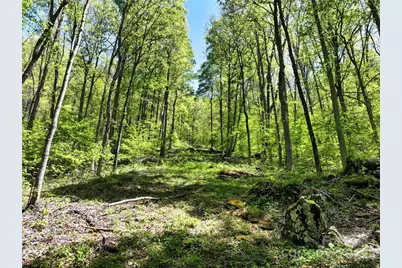 99999 Anderson Cove Road, Barnardsville, NC 28709 - Photo 27