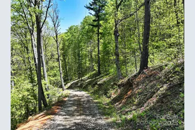 99999 Anderson Cove Road, Barnardsville, NC 28709 - Photo 23