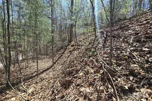 00 Riverside Dr, Whittier, NC 28789 - Photo 19