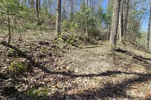 00 Riverside Dr, Whittier, NC 28789 - Photo 3