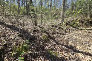 00 Riverside Dr, Whittier, NC 28789 - Photo 13