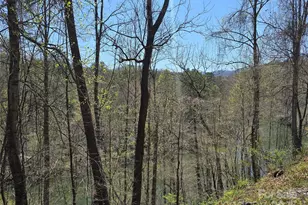 00 Riverside Dr, Whittier, NC 28789 - Photo 25