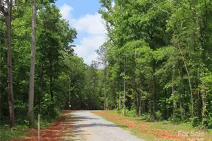 2099 Cedar Rd, York, SC 29745 - Photo 3