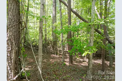 99999 Brevard Road, Arden, NC 28704 - Photo 5