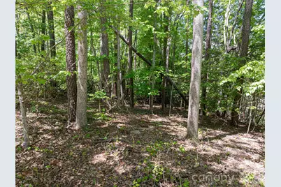 99999 Brevard Road, Arden, NC 28704 - Photo 3