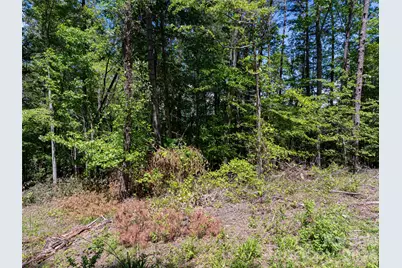 99999 Brevard Road, Arden, NC 28704 - Photo 7