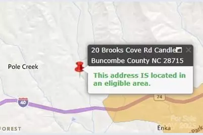 20 Brooks Cove Road, Candler, NC 28715 - Photo 43