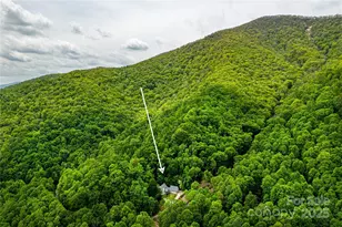 58 Great Aspen Way, Black Mountain, NC 28711 - Photo 3