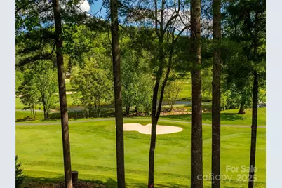 161 Winding Meadows Drive, Flat Rock, NC 28731 - Photo 39