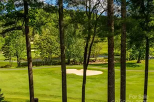 161 Winding Meadows Dr, Flat Rock, NC 28731 - Photo 39