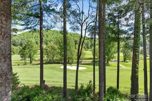 161 Winding Meadows Dr, Flat Rock, NC 28731 - Photo 15