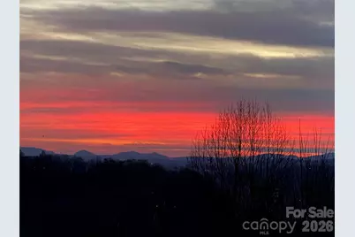 105 Spring Path, Hendersonville, NC 28739 - Photo 9