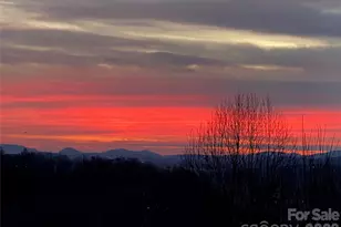 105 Spring Path, Hendersonville, NC 28739 - Photo 9