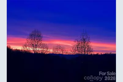 105 Spring Path, Hendersonville, NC 28739 - Photo 11