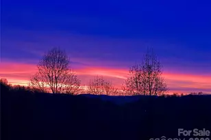 105 Spring Path, Hendersonville, NC 28739 - Photo 11