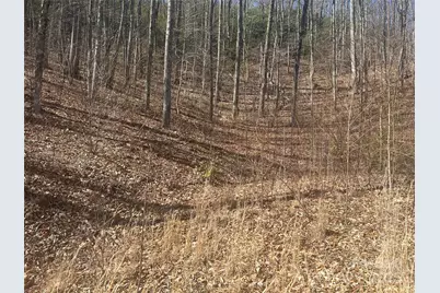 0 Towaliga Drive #94, Bryson City, NC 28713 - Photo 3