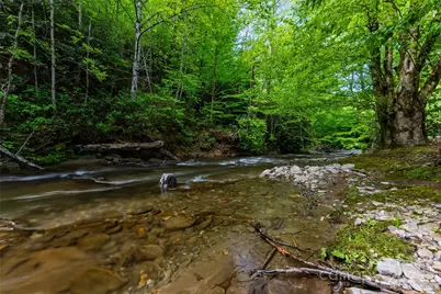 242 Eagles Roost Road, Bryson City, NC 28713 - Photo 29