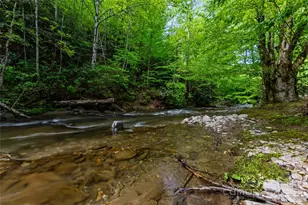 242 Eagles Roost Rd, Bryson City, NC 28713 - Photo 29