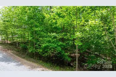 Tbd Darrow Drive #95, Nebo, NC 28761 - Photo 25