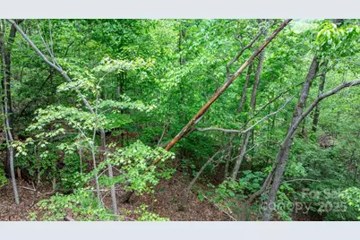 Tbd Darrow Drive #95, Nebo, NC 28761 - Photo 17